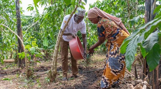 Ibadan Farmers Trained on Biochar Production to Boost Wetland Farming