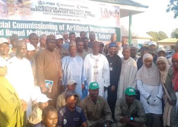 Federal Government Launches Livestock Insemination and Veterinary Centres in Sokoto to Boost Rural Economy