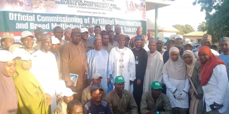 Federal Government Launches Livestock Insemination and Veterinary Centres in Sokoto to Boost Rural Economy