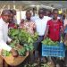 Uganda Distributes 8,000 Coffee Seedlings to Boost Youth Farming and incomes in Masaka