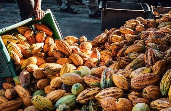 Consumer Group Raises Alarm Over Unfair Competition in Cocoa-Based Products Market