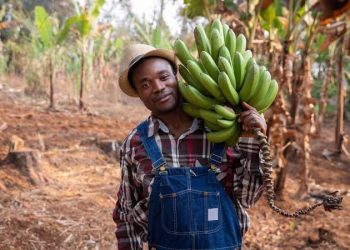 SMEDAN, IFAD Train Women on Agribusiness in Taraba