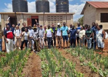 EU Project Rolls Out Smart Decision Tool to Support Nigerian Smallholder Farmers