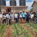 EU Project Rolls Out Smart Decision Tool to Support Nigerian Smallholder Farmers
