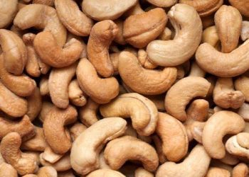 Nigeria’s Cashew Exports To EU Jump 12% As Global Prices Surge