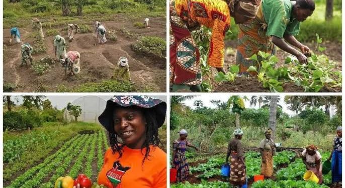 Heifer Nigeria Launches $40,000 Challenge to Empower Youth-Led Agritech SMEs and Boost Farmers’ Incomes