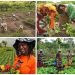 Heifer Nigeria Launches $40,000 Challenge to Empower Youth-Led Agritech SMEs and Boost Farmers’ Incomes