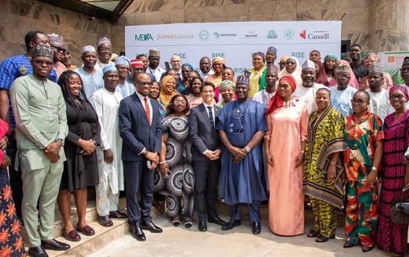 MEDA Launches RISE Project to Create 8,000 Jobs and Scale Women-, Youth-Led Agribusinesses in Northern Nigeria