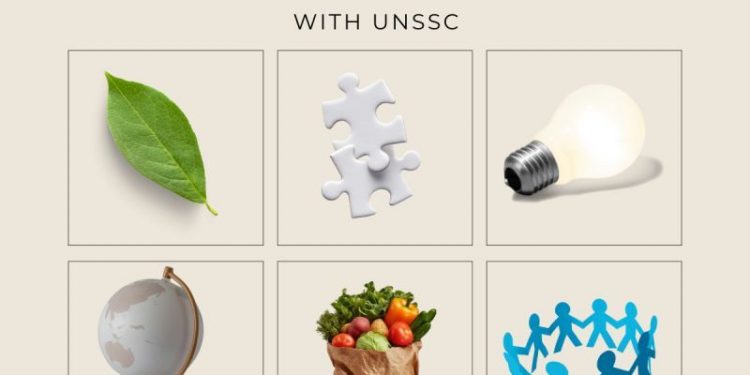 Call For Applications: United Nations Sustainability Training Free Online Course For Innovators