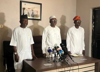 Nigeria Could Earn $10bn Annually from Cashew with Right Policies, NCAN says