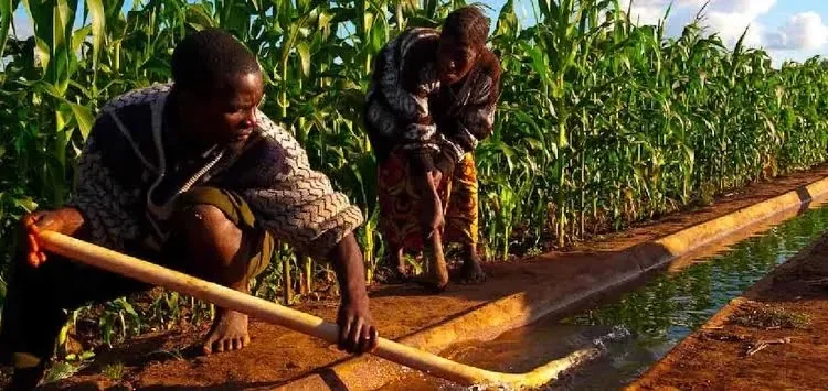 Nigerian Government, IFAD Equip Youth Farmers with Mechanization Skills to Improve Food Security